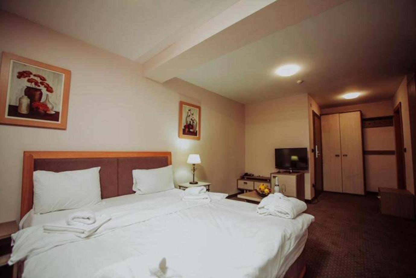 Hotel Milmari - Wellness & Spa Kopaonik Habitación foto